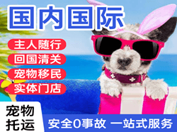 烟台蓬莱航空托运国际宠物托运 【国